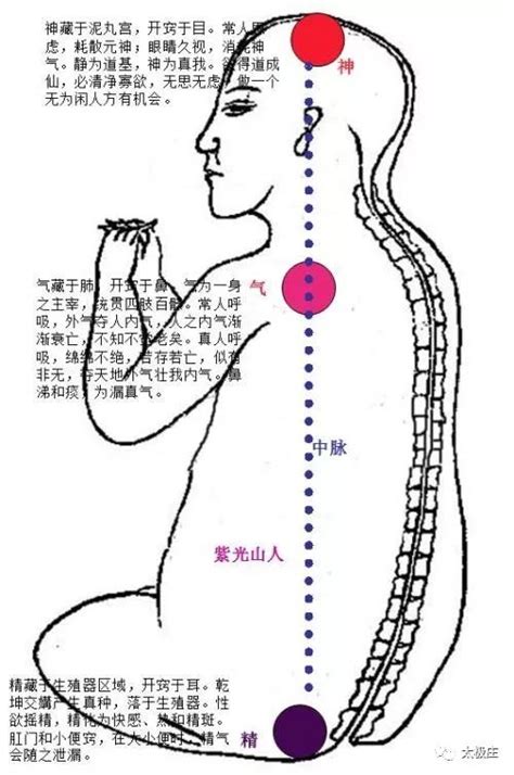 玄關穴|【玄關穴位置】解開玄機：玄關穴位置大揭秘，直達靈性之門！